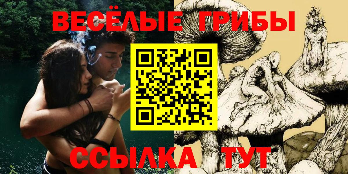 Великий Новгород  Вход с VPN  ГАШИШ  Конопля  Мефедрон   МЕФ  Cocaine 
