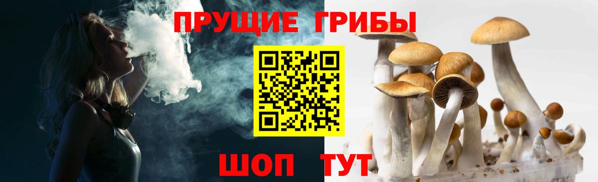 Великий Новгород  Галлюциногенные грибы мухоморы  Вход с VPN 